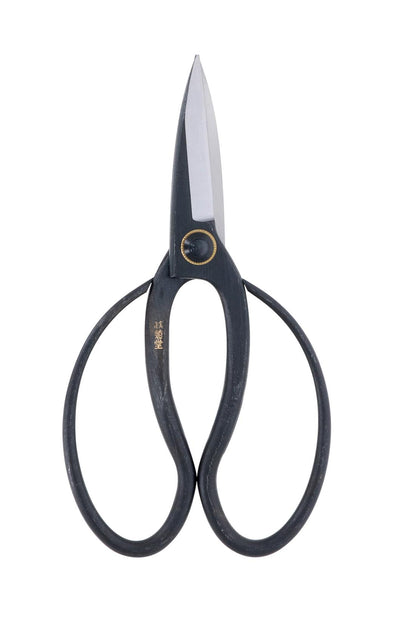 Kikudo Okubo Saks – 200 mm med Aogami-stål