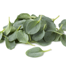 Smagfulde Blade – En Gourmet Frøsamling til Det Nysgerrige Køkken-4