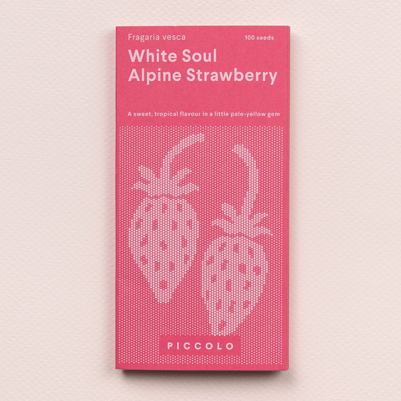 Alpine Strawberry White Soul - Snedkerværktøj