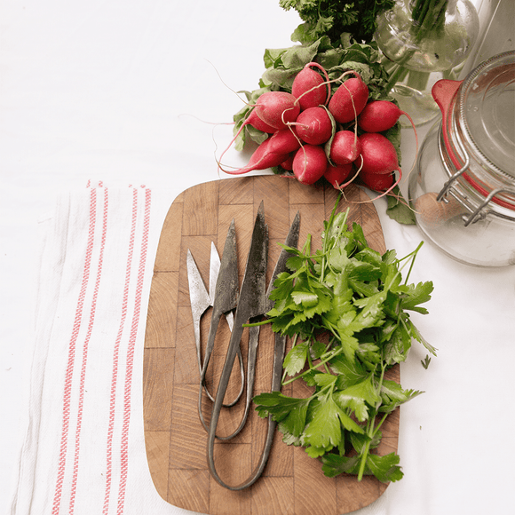 AUTHENTIC BLADES MO, herb scissors, cutting length 4 - 8cm made of carbon steel - Snedkerværktøj