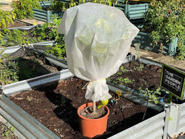 Cold/frost protection blanket 1,8x10m - WINFREE+XL - Snedkerværktøj