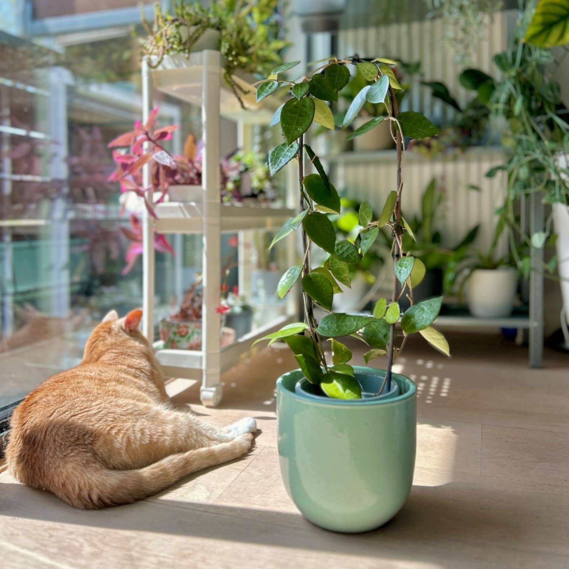 Contemporary Range Planters - Snedkerværktøj