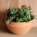 Dekorativ hængekrukke i håndlavet terrakotta – til altan og have - Snedkerværktøj