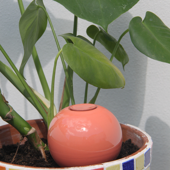 Enkel og Smuk Selvvanding i pastelfarvet terrakotta – til forårets planter