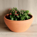 Elegant Krukke i Håndlavet Terrakotta – Vendée - serien - Snedkerværktøj