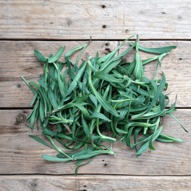 Foraging Wild Herbs - Snedkerværktøj