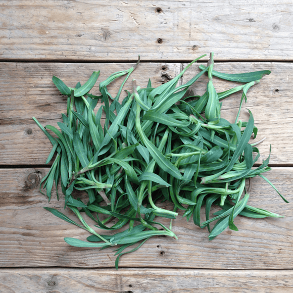 Foraging Wild Herbs - Snedkerværktøj