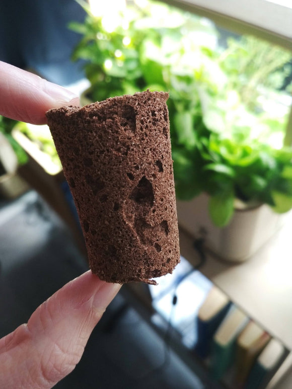 GreenBox PlantPlugs | Italiensk Krydderurteblanding - Snedkerværktøj