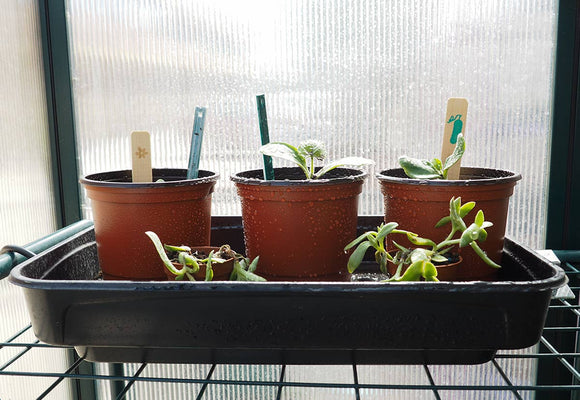 Heated mini greenhouse - XS HOT GREENHOUSE - Snedkerværktøj