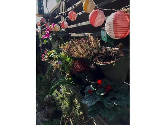 Insert pot for TETRI 3pcs - TETRI POT - Snedkerværktøj