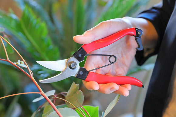 Japansk Beskæresaks – 180 mm Takagi - Snedkerværktøj