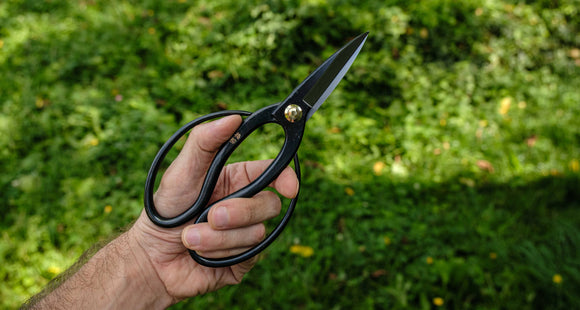 Kikudo Okubo Saks – 200 mm med Aogami - stål - Snedkerværktøj