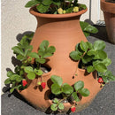 Kreativ jordbærkrukke i håndlavet terrakotta – størrelse M - Snedkerværktøj