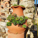 Kreativ jordbærkrukke i håndlavet terrakotta – størrelse M - Snedkerværktøj