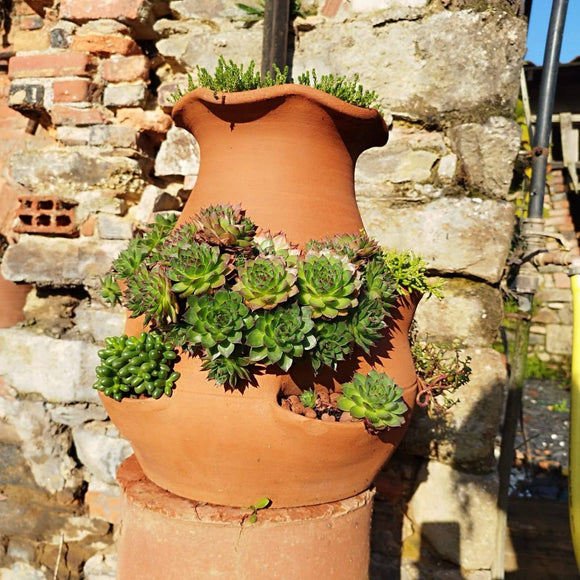 Kreativ jordbærkrukke i håndlavet terrakotta – størrelse M - Snedkerværktøj