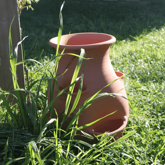 Kreativ jordbærkrukke i håndlavet terrakotta – størrelse M - Snedkerværktøj