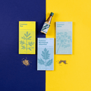 Liqueurs Herbs - Snedkerværktøj