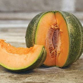 Melon Petit Gris de Rennes - Snedkerværktøj