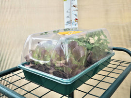 Mini greenhouse 38.7x24.2x17.5cm - XS GREENHOUSE - Snedkerværktøj