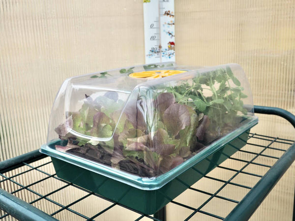 Mini greenhouse 38.7x24.2x17.5cm - XS GREENHOUSE - Snedkerværktøj