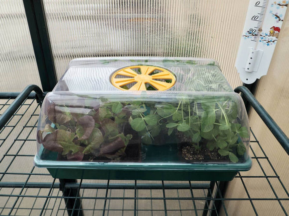 Mini greenhouse 38.7x24.2x17.5cm - XS GREENHOUSE - Snedkerværktøj