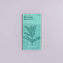 Mint Moroccan Spearmint - Snedkerværktøj