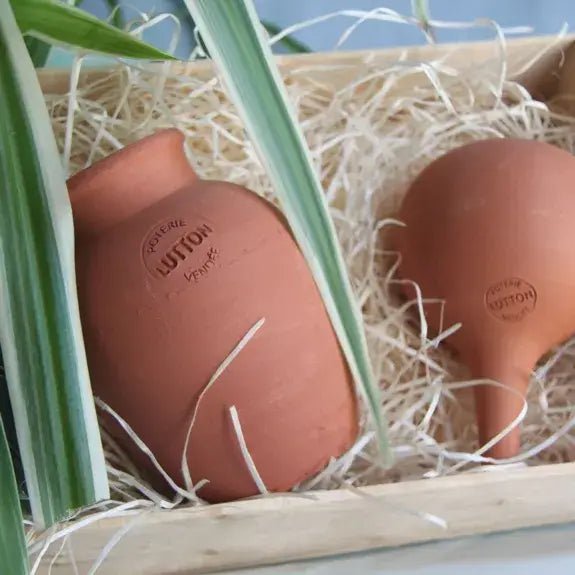 Ollas Box: The Perfect Gift for Plant Lovers - Snedkerværktøj