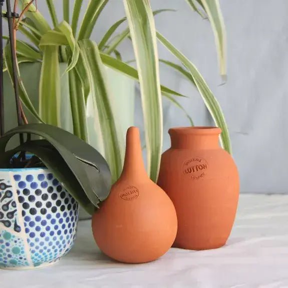 Ollas Box: The Perfect Gift for Plant Lovers - Snedkerværktøj
