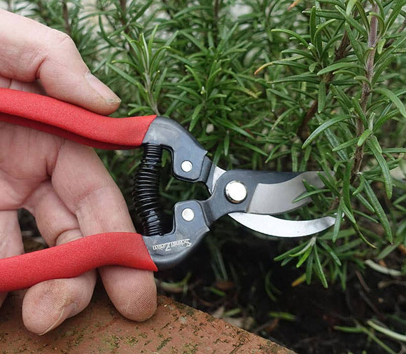 Ornamental pruner - Snedkerværktøj