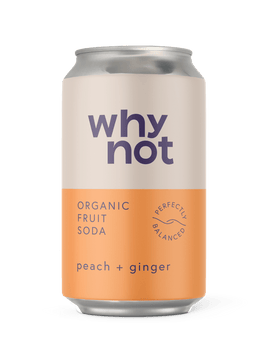 Peach + Ginger - Organic Fruit Soda (can) - Snedkerværktøj