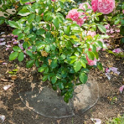 Sheep Wool Mulch Disc Set of 2 - Snedkerværktøj