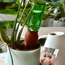 💧 Små Simple Ollas – Nem og Økologisk Vanding for Alle - Snedkerværktøj