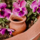 💧 Små Simple Ollas – Nem og Økologisk Vanding for Alle - Snedkerværktøj