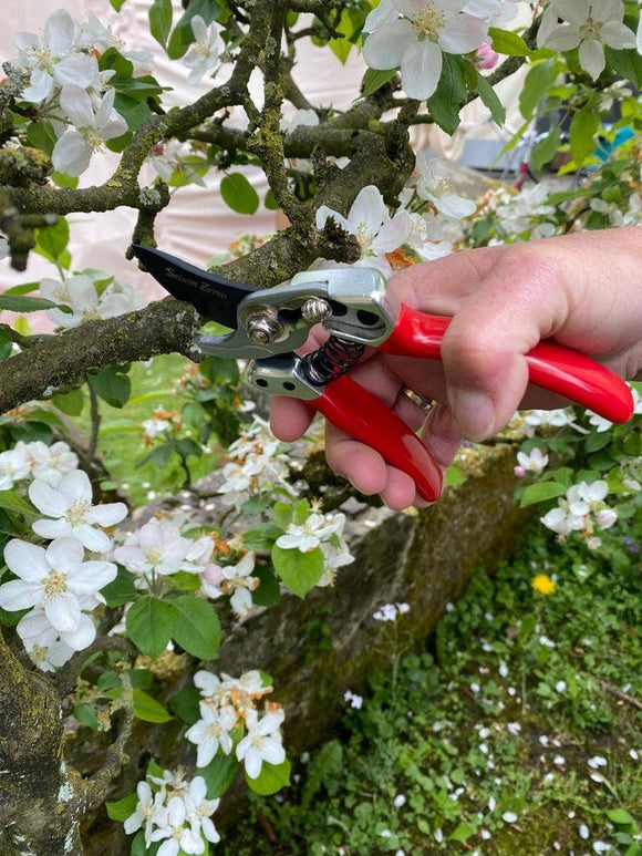 Small gardener shears - Snedkerværktøj