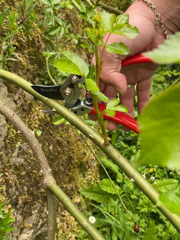 Small gardener shears - Snedkerværktøj