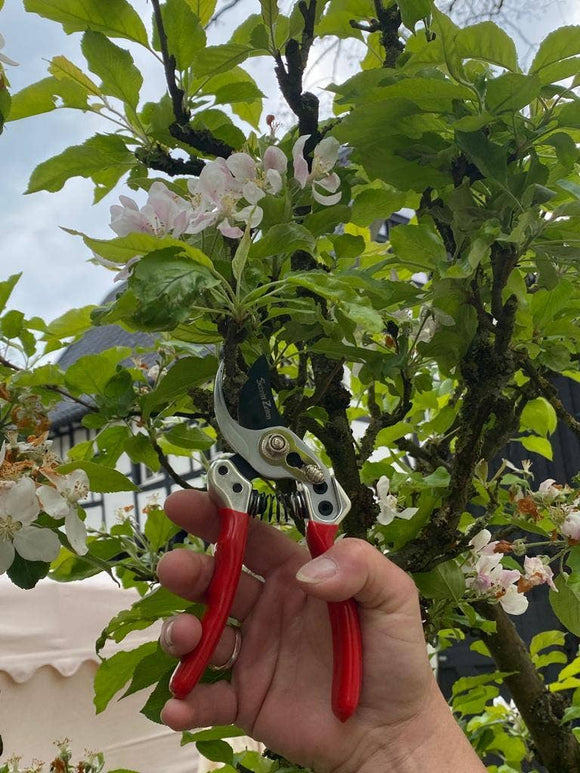 Small gardener shears - Snedkerværktøj