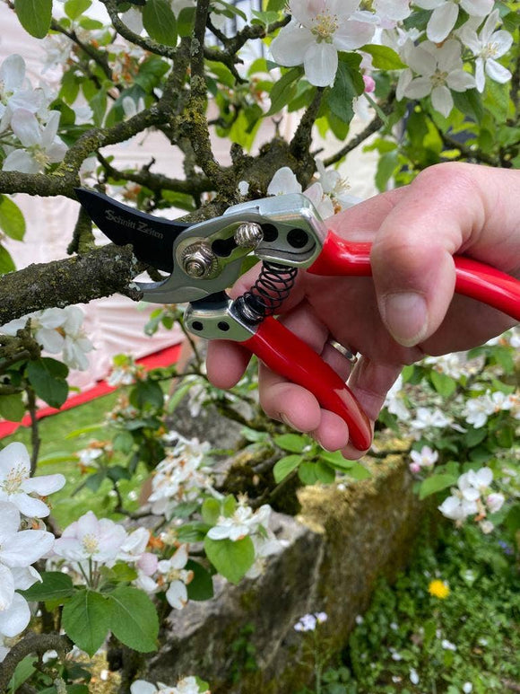 Small gardener shears - Snedkerværktøj