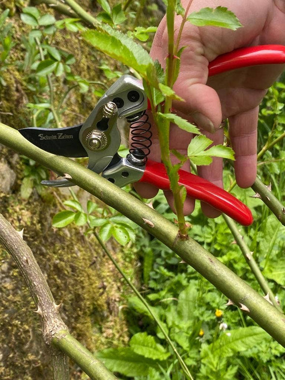 Small gardener shears - Snedkerværktøj
