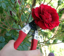 Small pruning shears - Snedkerværktøj
