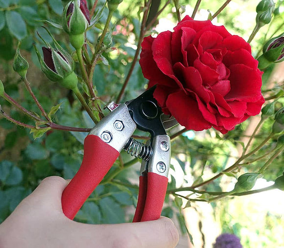 Small pruning shears - Snedkerværktøj
