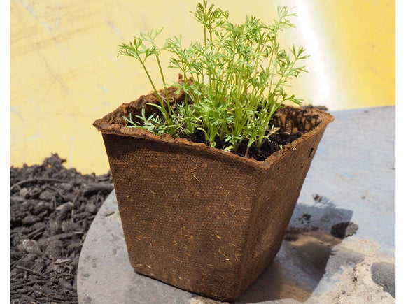 Square natural fiber pots 8x8 cm (4u) - NATPOT CL - Snedkerværktøj