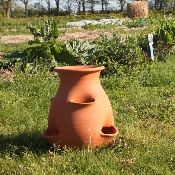 Strawberry lathe/Aromates/Plants: S - Snedkerværktøj
