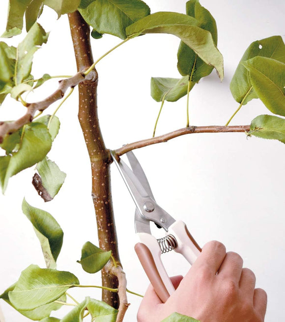 Takagi Beskæresaks med Spidst Næb – 200 mm - Snedkerværktøj